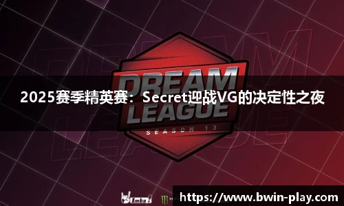 2025赛季精英赛：Secret迎战VG的决定性之夜
